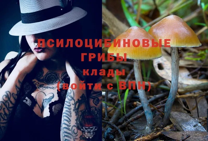 Галлюциногенные грибы MAGIC MUSHROOMS  Краснокамск 